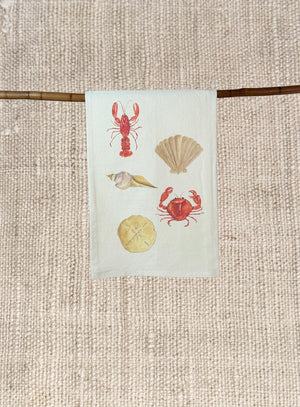 COASTAL TEA TOWEL