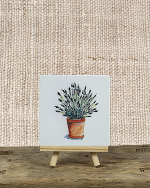 LAVENDER COASTER