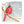 WINTER CARDINAL GREETING CARD