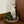 HOLIDAY TREE IN TIN WINE TOTE