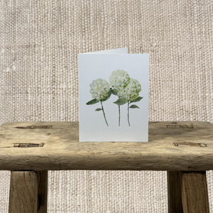 WHITE HYDRANGEAS GREETING CARD